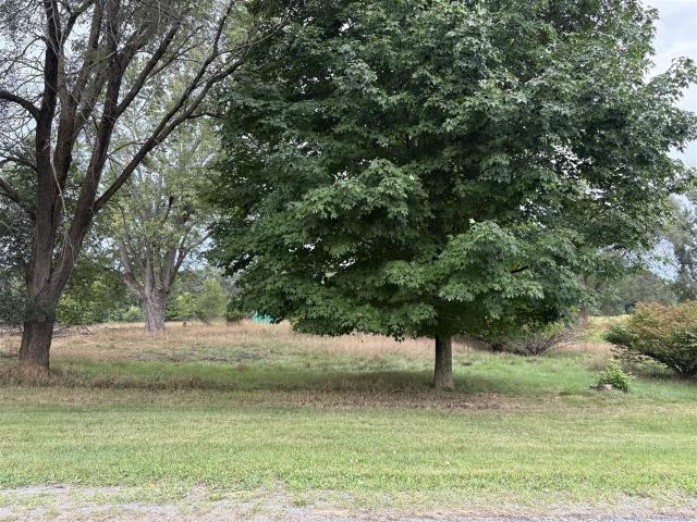 Land for sale in Bloomingdale Township, Van Buren County