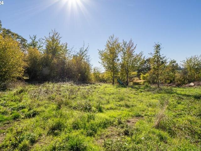 Land for sale in Amity, Yamhill County