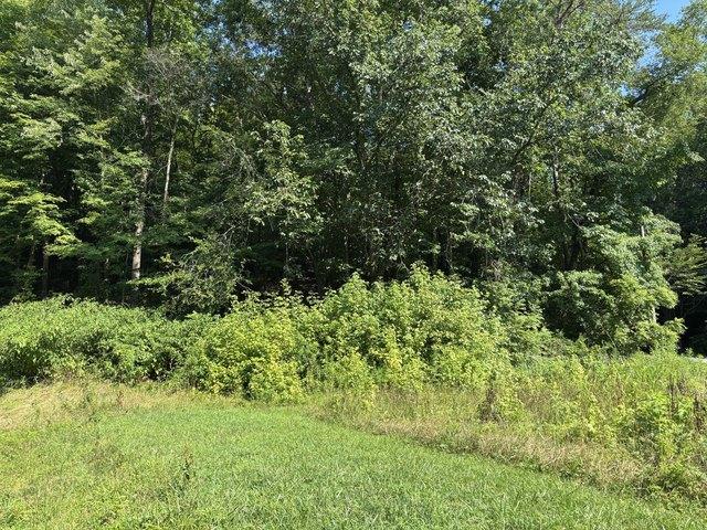Land for sale in Tennessee