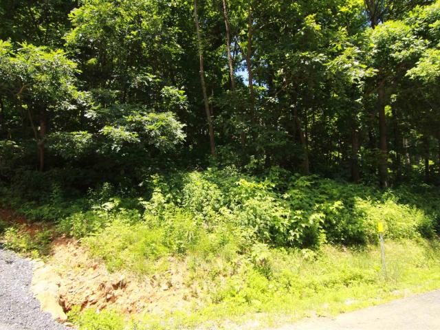Land for sale in Virginia