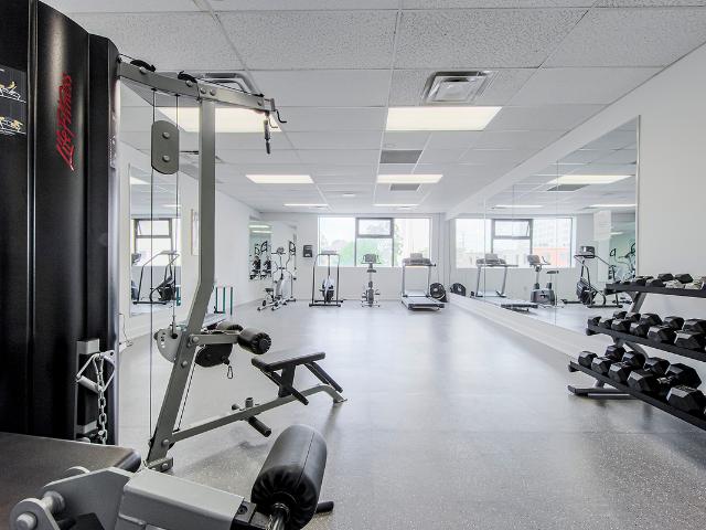 Apartment for rent in Arva, Ontario