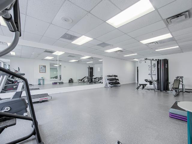 Apartment for rent in Arva, Ontario
