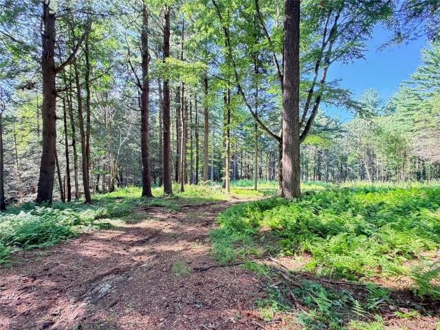Land for sale in Bedford Hills, Town of Bedford