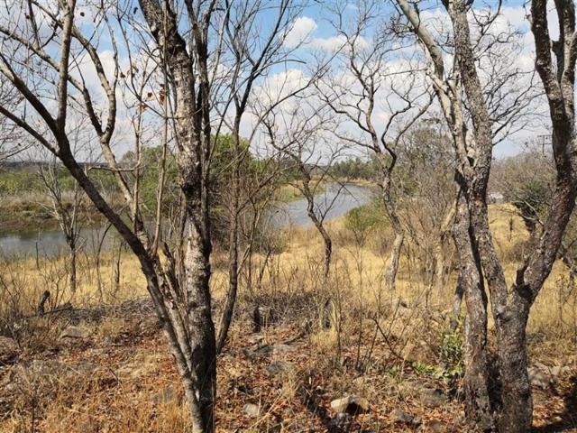 Farm for sale in Limpopo
