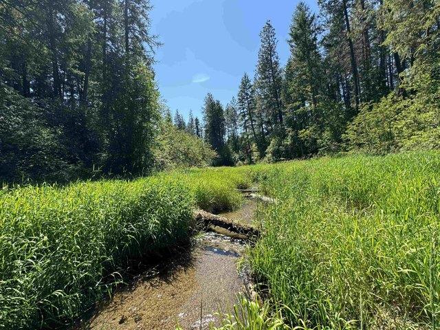 Land for sale in Springdale, Stevens County