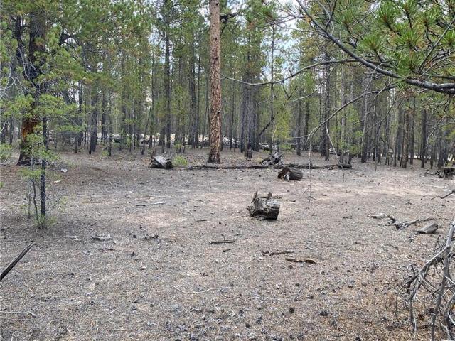 Land for sale in Twin Lakes, Colorado