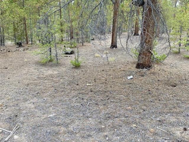 Property for sale in Twin Lakes, Colorado