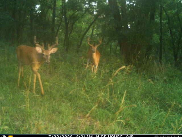 Land for sale in Unionville, Missouri