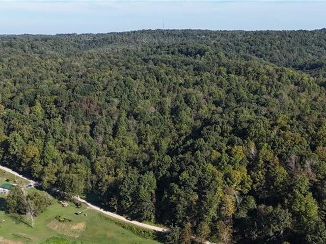 Land for sale in Lewisville, Monroe County