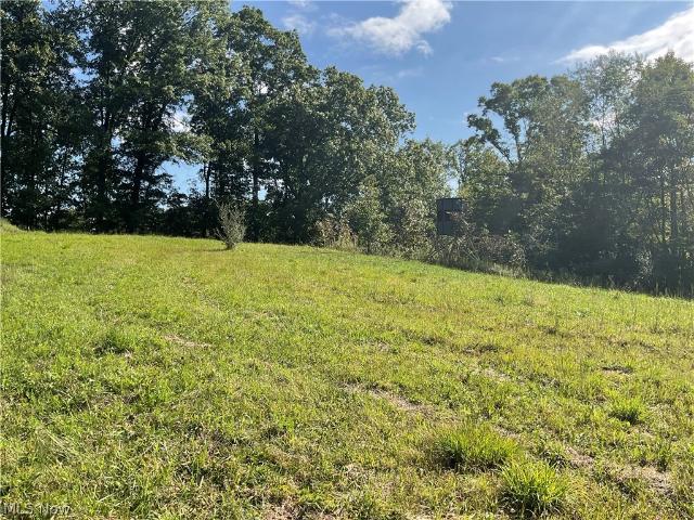 Land for sale in Lewisville, Monroe County