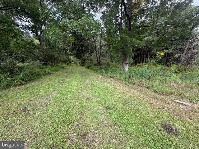 Land for sale in Milroy, Armagh Township