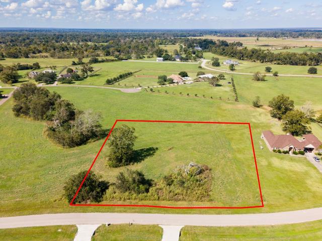 Land for sale in Alvin, Texas