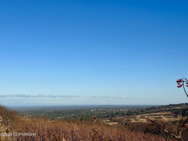 Land for sale in Anchor Point, Alaska