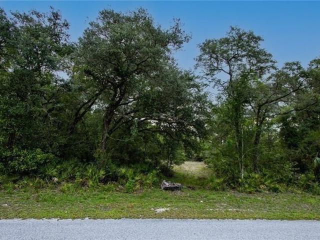 Land for sale in Webster, Florida