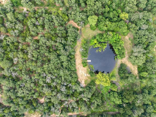 Farm for sale in Lockhart, Caldwell County