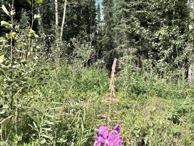 Land for sale in Soldotna