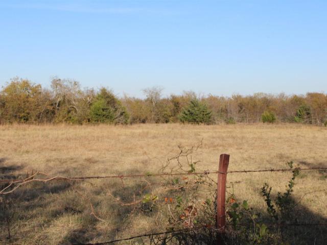Property for sale in Wills Point, Texas