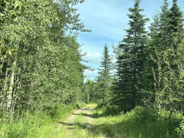 Land for sale in Soldotna