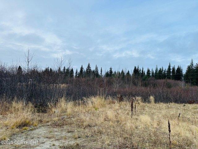 Land for sale in Anchor Point, Alaska
