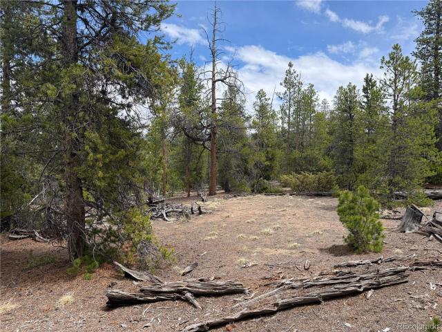 Land for sale in Leadville, Colorado