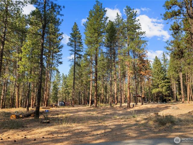 Land for sale in Cle Elum, Washington