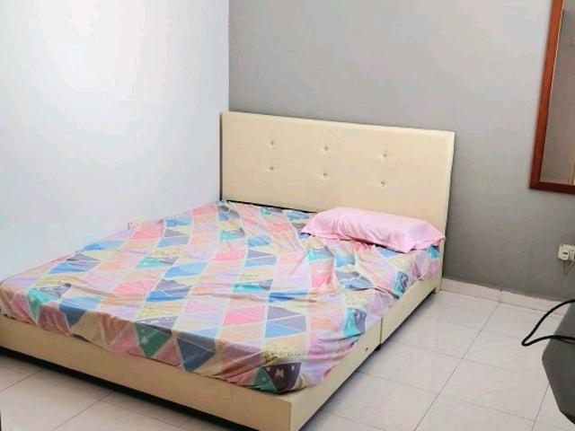 Property for rent