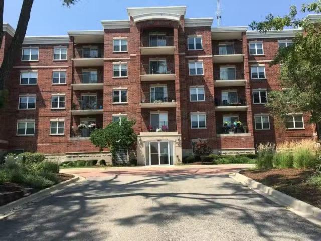House for rent in Arlington Heights