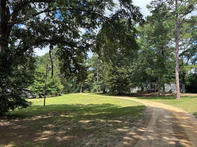 Land for sale in Brundidge, Alabama