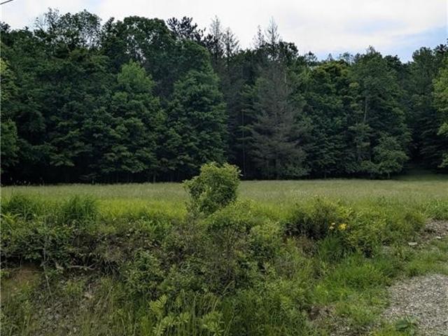 Land for sale in Town of Great Valley, Cattaraugus County