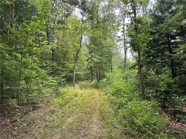 Land for sale in Oneida, New York