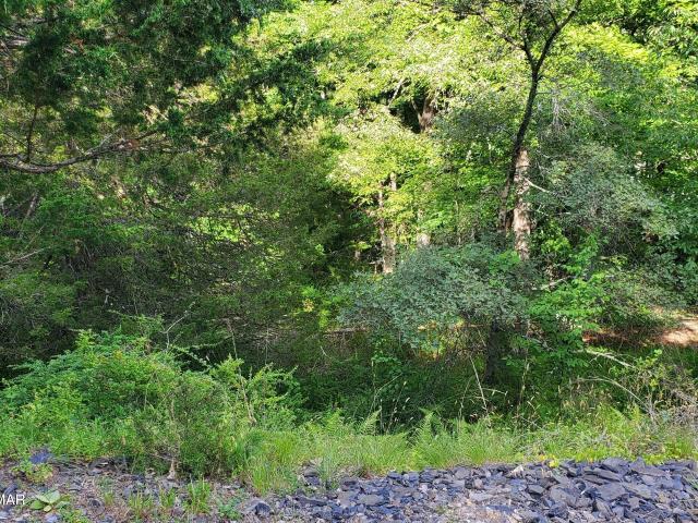 Land for sale in Dingmans Ferry, Pennsylvania