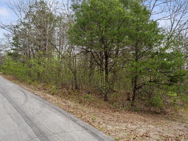 Land for sale in Stone, Missouri
