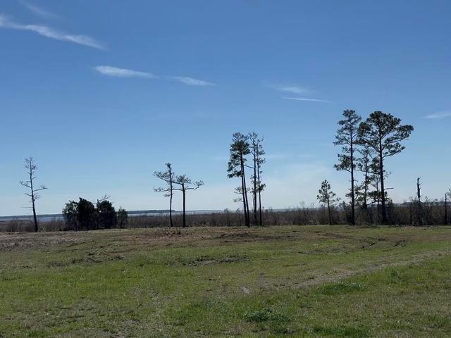 Land for sale in Belhaven, North Carolina