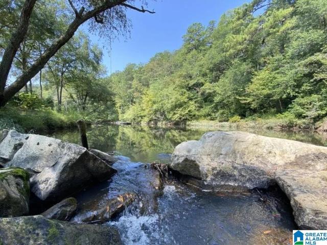 Land for sale in Jasper, Alabama