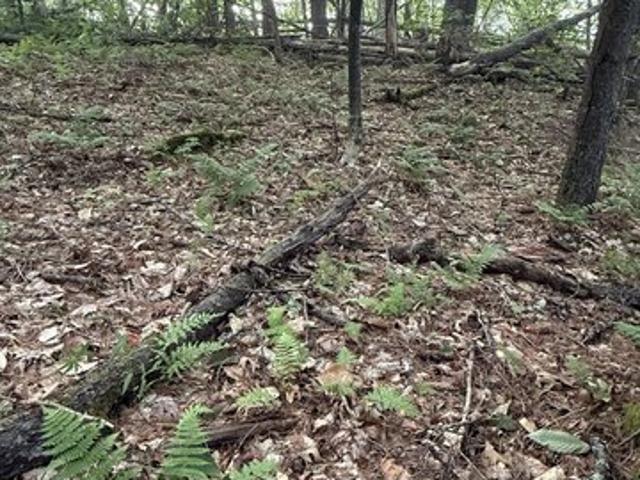 Land for sale in Bolton Landing, New York
