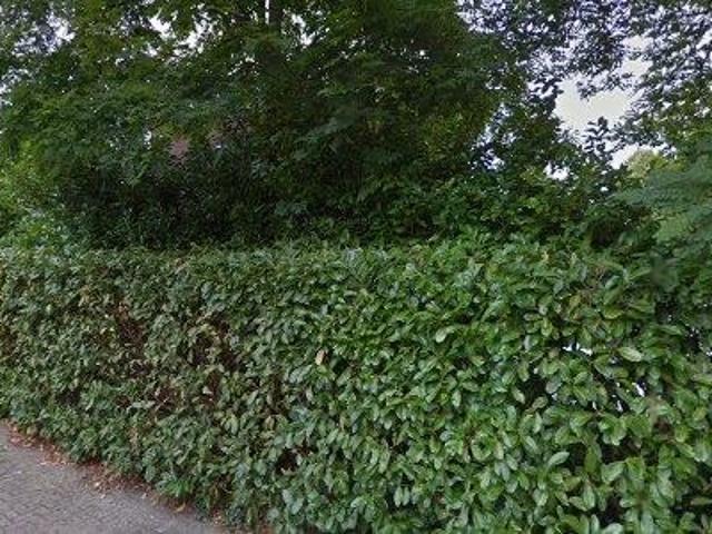 Bedrijfspand te huur in Haarlem, Noord Holland