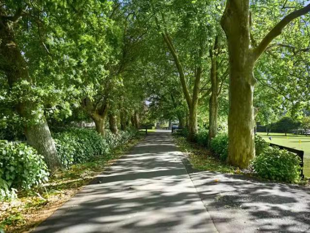 House for sale in Waikato