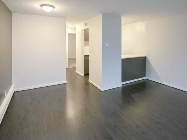 Apartment for rent in Seattle, Washington