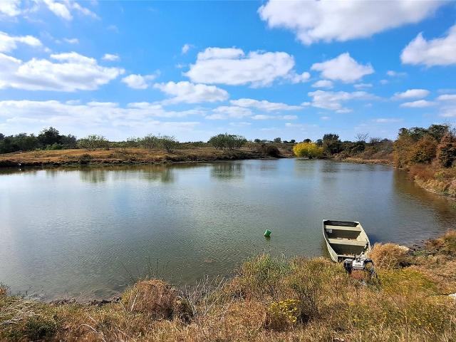 Farm for sale in Milam, Texas
