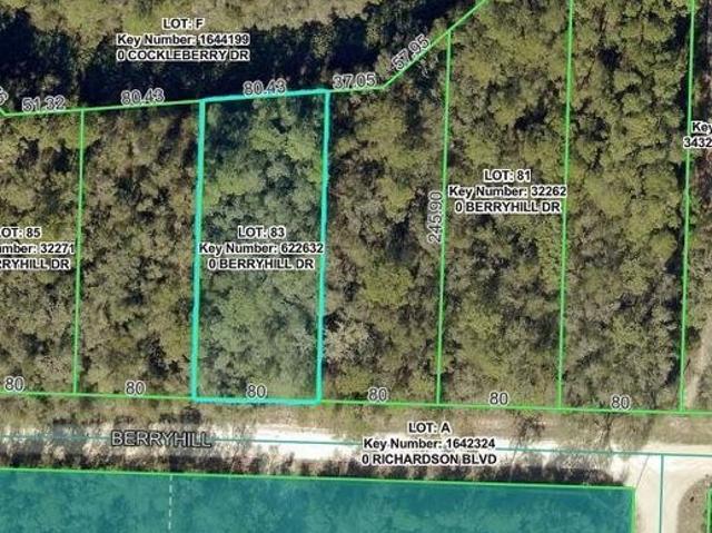 Land for sale in Webster, Sumter County