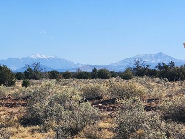 Land for sale in Williams, Arizona
