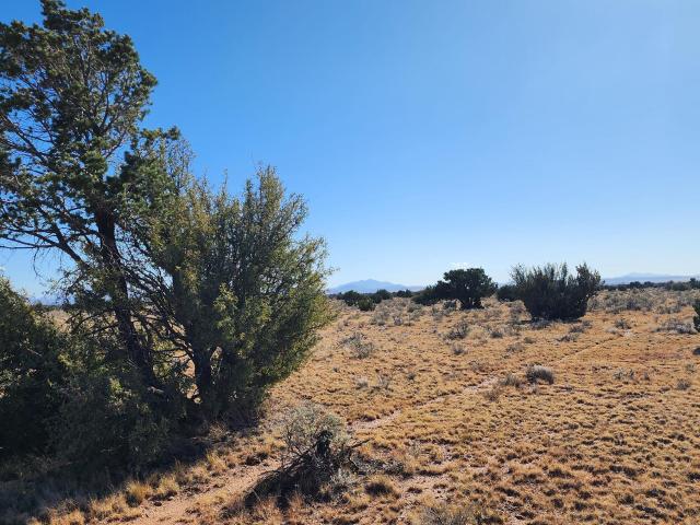 Land for sale in Williams, Arizona