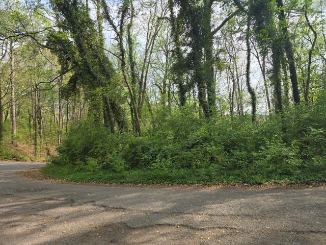 Land for sale in Tennessee