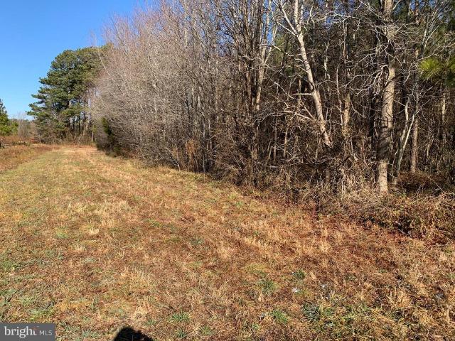 Land for sale in Pittsville Manor, Pittsville