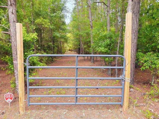 Land for sale in Nichols, South Carolina