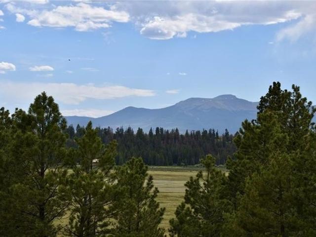 Land for sale in Fairplay, Colorado