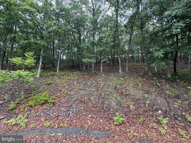 Land for sale in Bushkill, Lehman Township