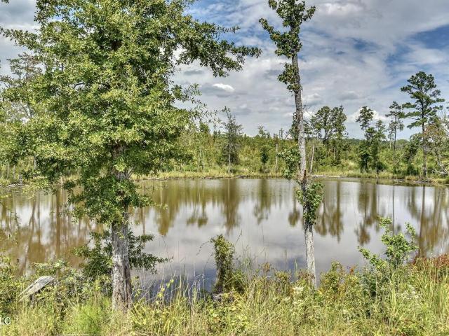 Land for sale in Kosciusko, Mississippi