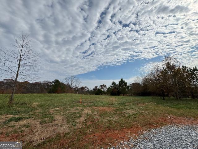 Land for sale in Georgia