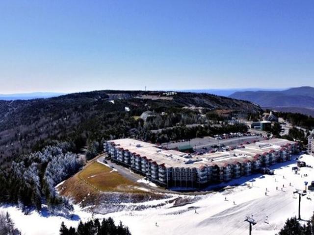 Condo for sale in Snowshoe, West Virginia